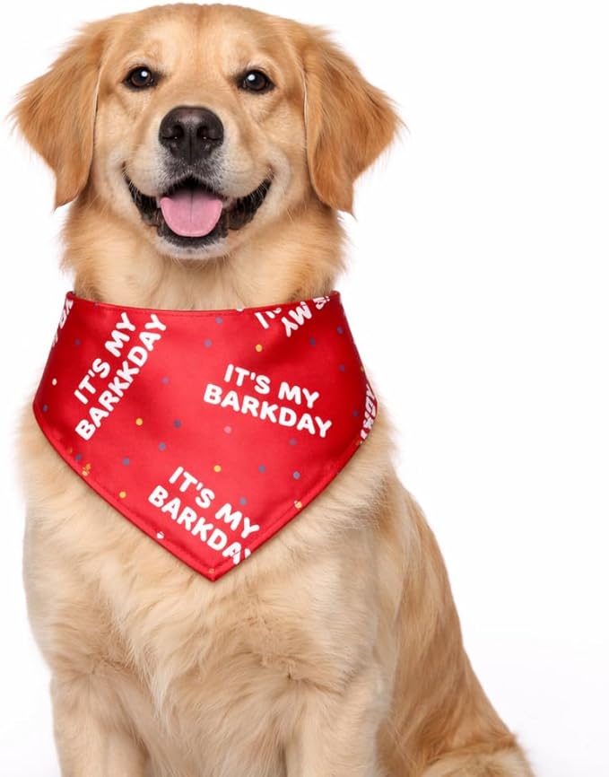 Luxury Satin Dog Bandana – Slip-On Collar Style, Premium Pet Scarf for Medium, Large & XL Dogs – Special Occasion Accessory (Collar Not Included) (Medium - Extra Large, Barkday Luxe - Satin)