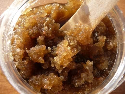 South Bark's 16 oz. Blueberry-Clove Sugar Scrub For Dogs | Long Lasting Softness | Paraben-Free | Biodegradable and Non-Toxic | Made In The USA