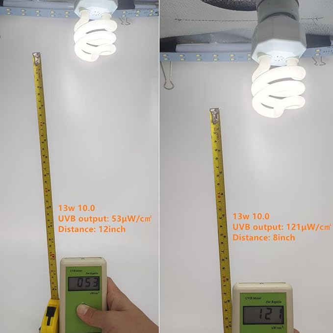 Leoterra 13W 10.0 UVB Bulb – Compact Reptile uvb Light for Bearded Dragon & Green Iguana Hatchlings, Chameleons (Juvenile) & Box Turtles | High Output E26 UVB Lamp(110V)