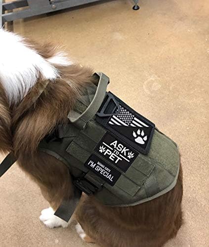 U-LIAN 4 Pieces Dog Patch Beast Mode On Ask to Pet US Flag Mama Says I'm Special Funny Hook and Loop Patches Service Dogs Black