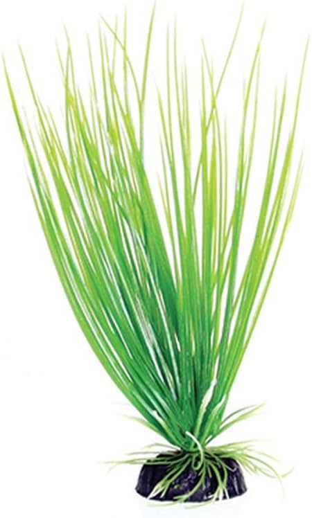 Underwater Treasures Green Hairgrass - 8"