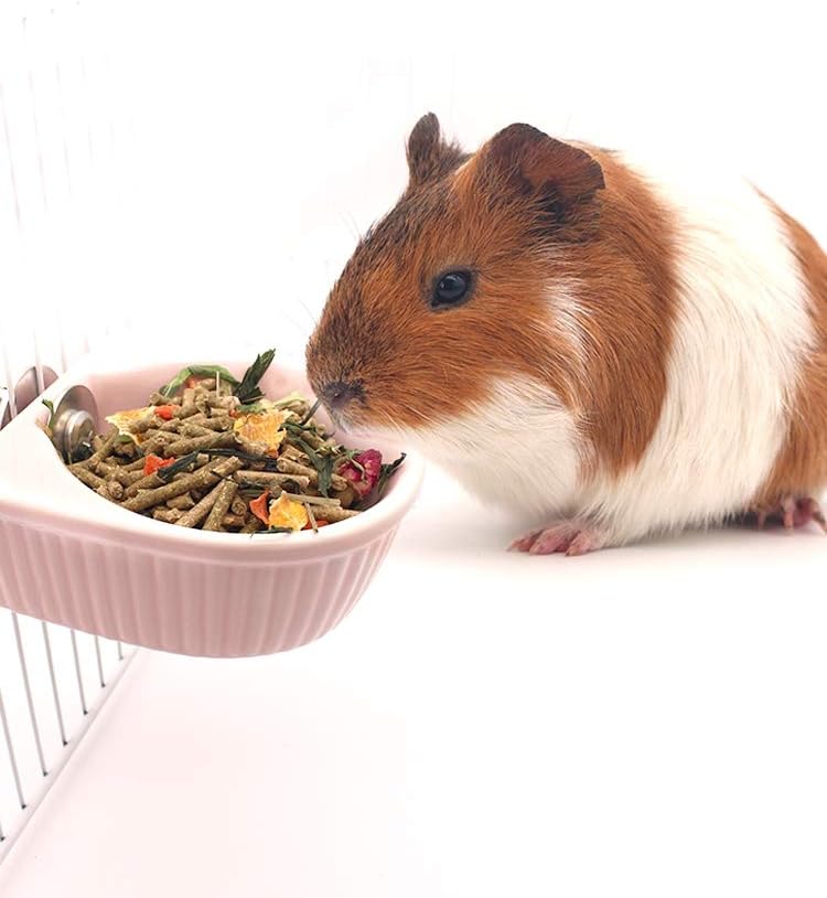 Small Animals Bowl, Detachable Cage Feeder Pet Ceramic Water & Food Feeder, Small Animal Supplies for Rabbit Parrot Squirrels Chinchilla Hamster Ferret (Pink, M)