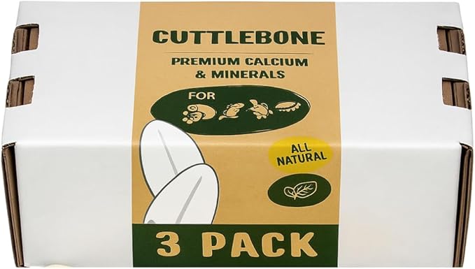 Cuttlebone 3-Pack Natural Calcium Supplement for Isopods, Birds, Parakeets, Cockatiels, Canaries, Reptiles & Small Pets