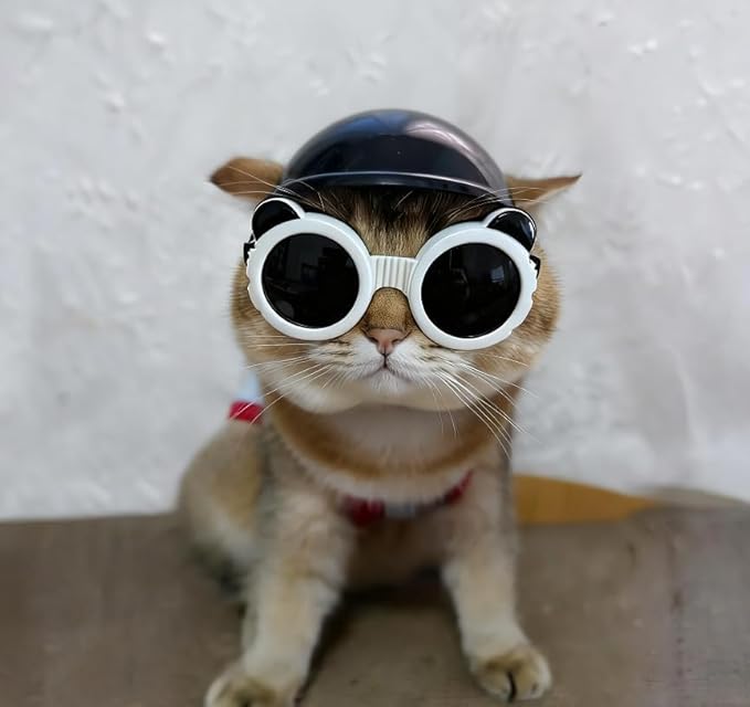 Extra Small Dog Goggles and XSmall Dog Helmet, 2Pcs Anti-UV Doggy Sunglasses Cat Motorcycle Protecetive Helmet Set, Chihuahua Safety Hard Hat Outdoor Head & Eyes Protection, White XS