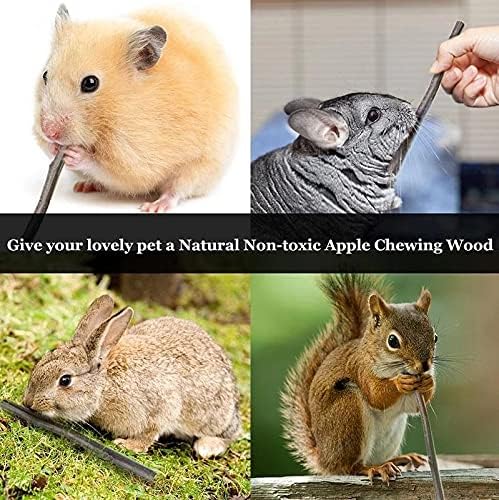 Bunny Hamsters Chew Toys Set, Straw Woven Bed Mat& Rabbit Pet Tooth Organic Natural Apple Wood Grass Cake Ideal for Chinchilla, Guinea Pigs, Syrian Rat,birds,Teeth Grinding&Hámster Conejo(22Pieces)