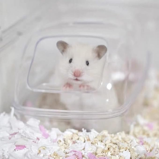 7.1 in Hamster Sand Bath-Clear Critters' Shower Toilet-Cooling Bed Sand Container Bathtub Hamster Accessories for Mice Hedgehog Squirrel Hamster Guinea Pigs Small Animals Large