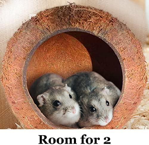 SunGrow Coconut Shell House for Gecko, Snake & Ball Python, Raw Coco Husk, Pet Hiding House, Climber or Chew Toy, for Reptiles, Amphibians (Coco Bowl)