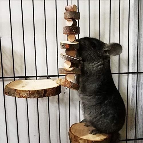 LWINGFLYER Small Animal Chews Toy Natural Apple Wood Block Cage Hanging Molars Treats Snack for Hamsters Rabbits Bunny Bird Parrots Chinchilla Guinea Pig Gerbils Squirrels (4pcs Natural Apple Wood)