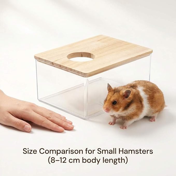 QWORK Hamster Sand Bath Box – Clear Acrylic Habitat Bath with Wooden Lid for Dwarf Hamsters, Digging & Grooming