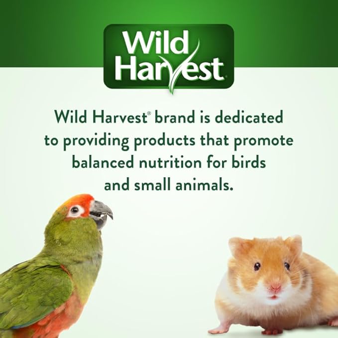 Wild Harvest P-84127 Colored Wood Chews for Small Animals, Fruit Flavored, 5-Count