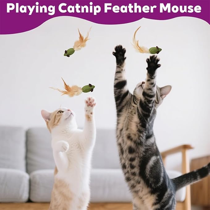 10 Pack Mouse Catnip Toy with Feather,Catnip Ball Interactive Catnip Mice for Chasing, Hunting, Exercising and Cleaning Teeth