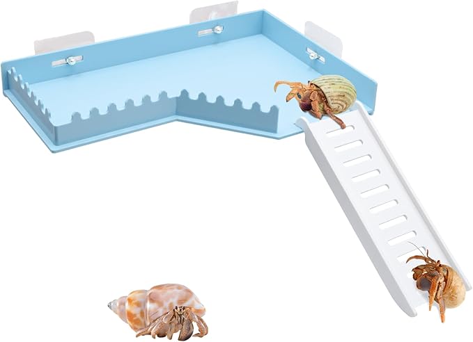 No-Drill Climbing Platform with Ramp, Hermit Crab Climbing Wall & Hideout, Multi-Level Platform with Ladder, No-Tools Mounting for Geckos, Small Lizards, Hamsters