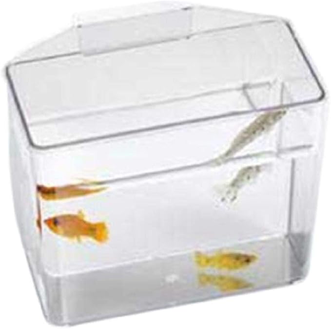 Lee's Pet Products ALE10516 Heavy Duty Specimen Container for Aquarium, Small