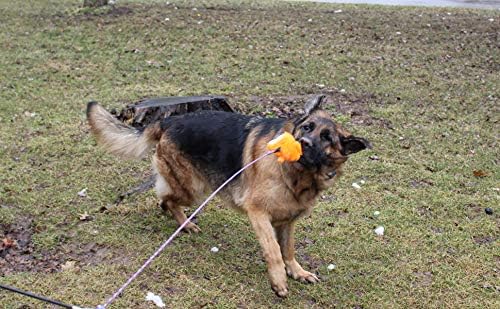 Jalousie Dog Flirt Pole Compatible Toys - Three Squeaky Plush Toys - Dog Teaser Wand Refill Pack