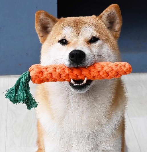 Vaulted Skulls & Co Carrot Dog Toy Small 5" | Carrot Shaped Dog Toy | Teething for Dogs | 5 Inches