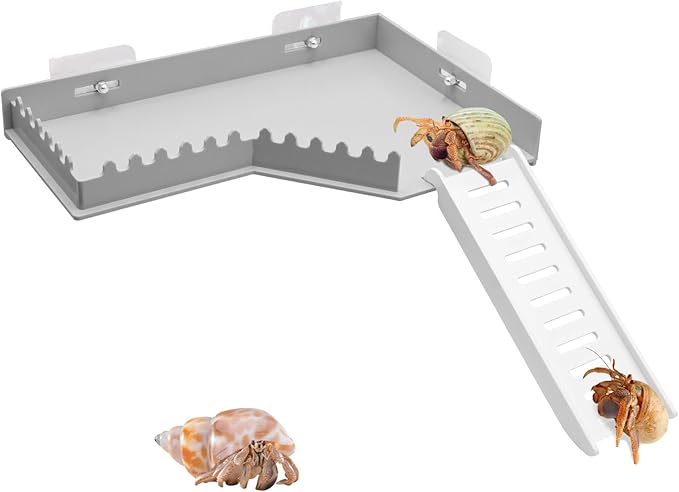 No-Drill Climbing Platform with Ramp, Hermit Crab Climbing Wall & Hideout, Multi-Level Platform with Ladder, No-Tools Mounting for Geckos, Small Lizards, Hamsters, Grey
