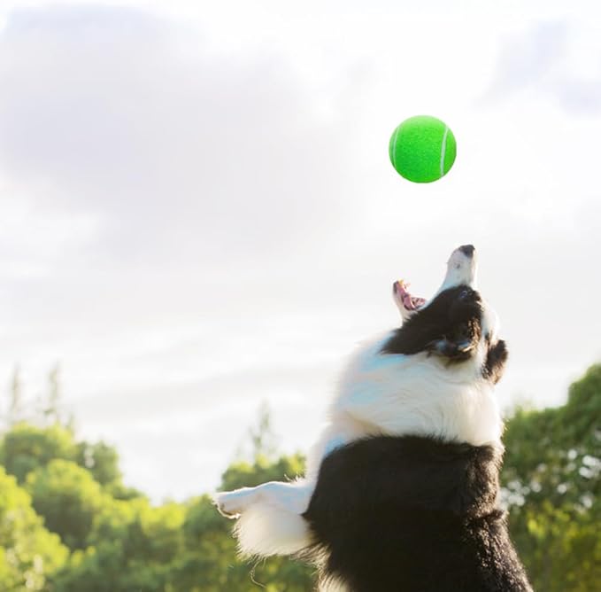 3-Pack Tennis Ball Dog Toys with Squeaker, Interactive Fetch Play for Pets 40 lbs and Over ，Training Balls for Indoor & Outdoor Exercise, 3.28-inch (Green, 12PCS)