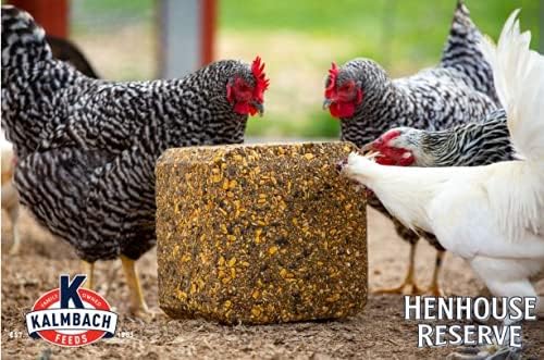 KALMBACH Feeds Henhouse Reserve Poultry Supplement, 20-LB Block
