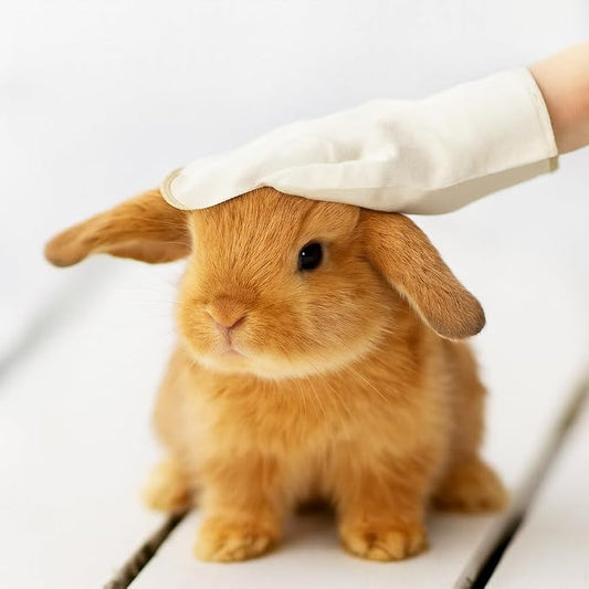 Rabbit Bath Wipes - Disposable Glove Design, Waterless No-Blow Clean, for Bunny Paws, Fur, Bottoms & Sensitive Areas, 6-Count (Pet Gloves Wipes 4 Packs (24 Pieces))