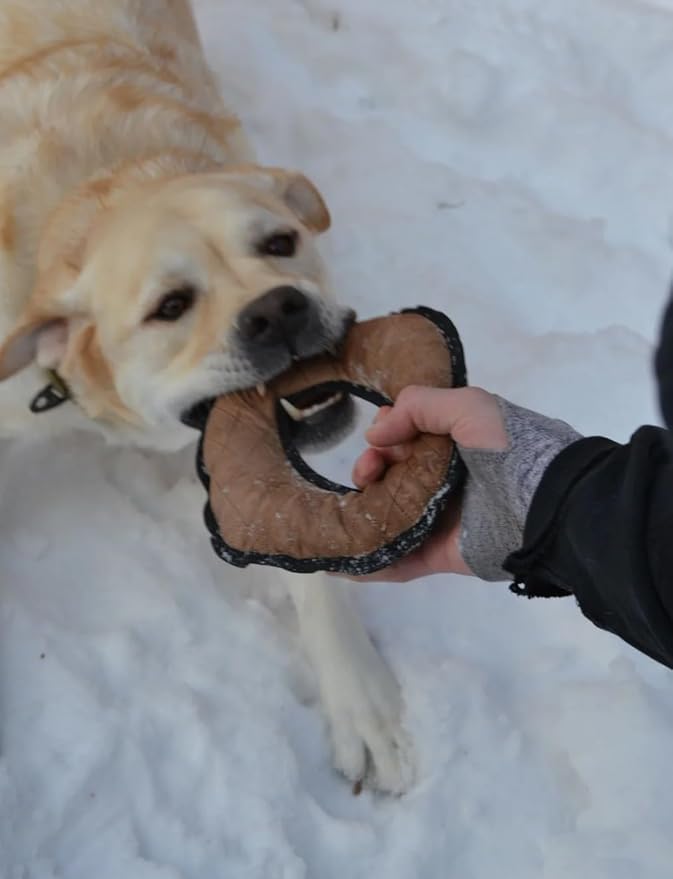 Ultra Tough Tug Toy