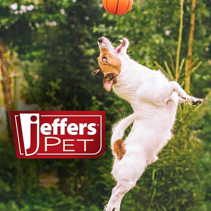 Jeffers Pet Tea Tree (Melaleuca) Dog Shampoo, 128 Oz - Medicated Style Grooming Wash for Dogs, Coconut Based, Soap & Detergent Free, Wintergreen Scent, for Home, Travel & Professional Use