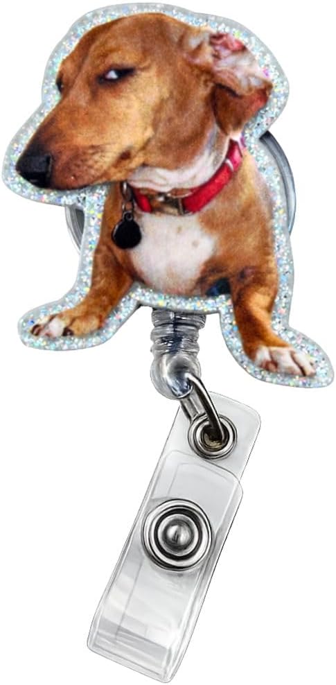 Side Eye Dog Badge Reel Cute Fun Funny Animal Cool Meme Puppy Medical ID Name Holder with Retractable Clip Office Hospital Accessories Gifts for Nurse Vet Veterinarian RN CNA Pet Parents Veterinary