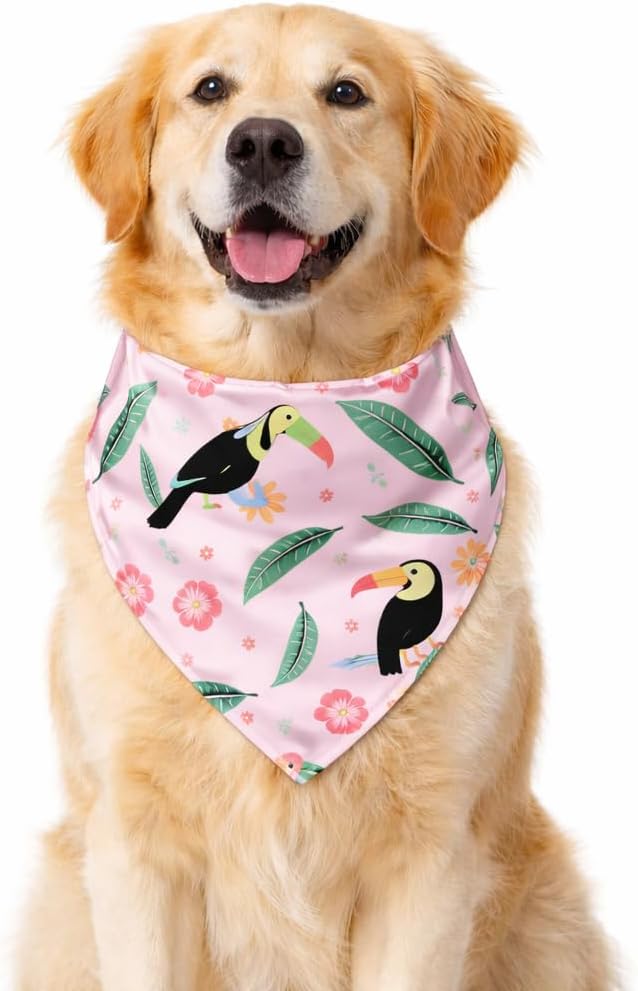 Luxury Satin Dog Bandana – Slip-On Collar Style, Premium Pet Scarf for Medium, Large & XL Dogs – Special Occasion Accessory (Collar Not Included) (Medium - Extra Large, Toucan (P) Luxe - Satin)