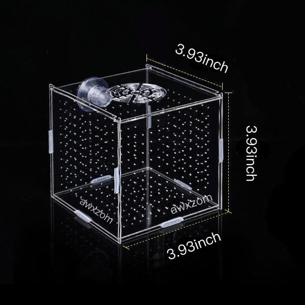 AWXZOM Acrylic Fish breeding Box, Acrylic Fish Isolation Box, Fish Separator for Aquarium, Hatchery Incubator with Suction Cups for Small Baby Fishes Shrimp Clownfish Guppy (3.9 * 3.9 * 3.9inch)