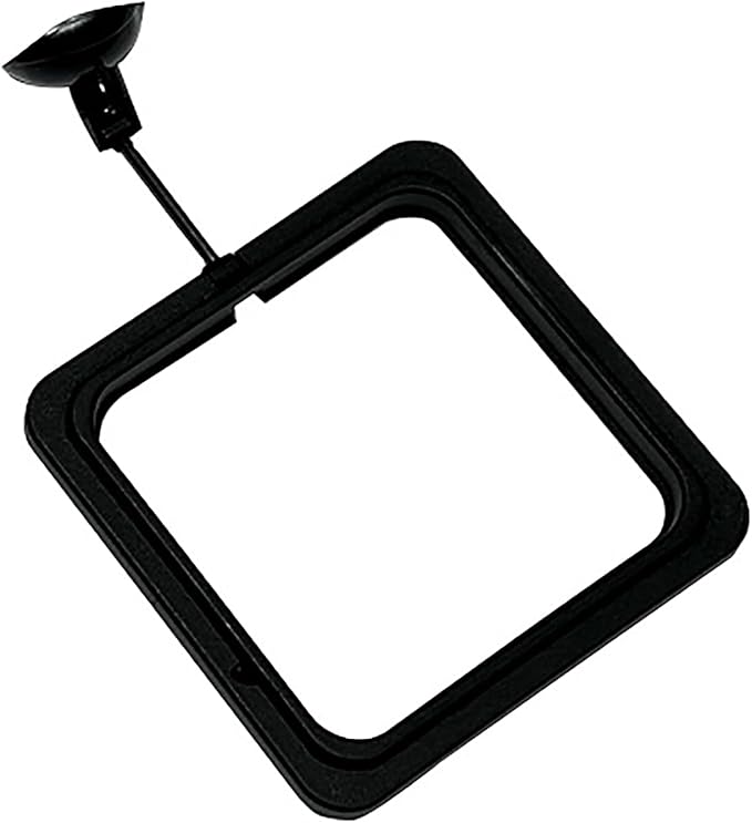 5PCS Fish Feeder Floating Square Suction Cup Feeding Ring Plastic and Rubber 3.15x3.15 Inches for Aquarium Accessories Black