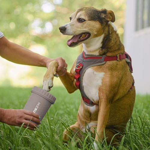 Dexas MudBuster Medium Dog Paw Cleaner in Taupe - Fits 1.5"-2.5" Wide Paws, Portable Paw Washer for Muddy Paws, Dog Paw Cleaning Cup with Gentle Silicone Bristles, Quick Clean Pet Paw Washer
