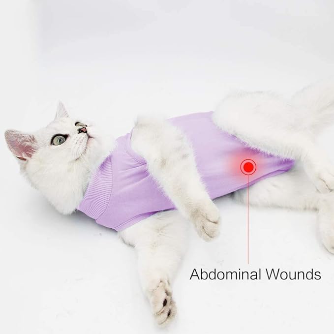 kzrfojy Cat Surgery Recovery Suit Cat Onesie for Cats After Surgery Spay Surgical Abdominal Wound Skin Diseases E-Collar Alternative Wear (Purple-S)