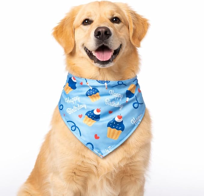 Luxury Satin Dog Bandana – Slip-On Collar Style, Premium Pet Scarf for Medium, Large & XL Dogs – Special Occasion Accessory (Collar Not Included) (Medium - Extra Large, HBD)