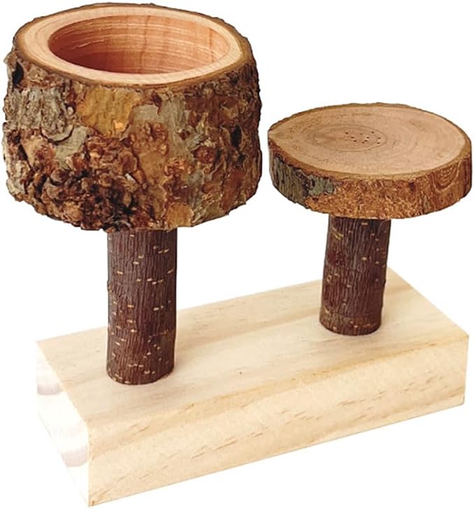 Apple Wood Feeding Bowl for Small Animals, Food Dish for Guinea Pig, Chinchilla Parrots