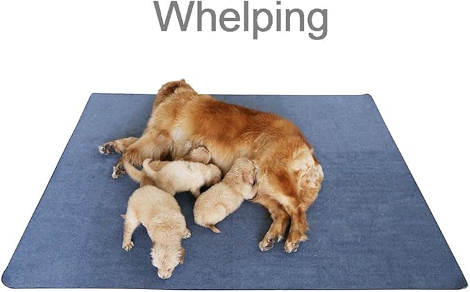 Peepeego Non-Slip Dog Pads Extra Large 72" x 72", Washable Pee Pads with Fast Absorbent, Reusable, Waterproof for Training, Whelping, Housebreaking, Incontinence, for Playpen