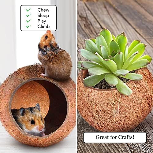 SunGrow Coconut Shell House for Gecko, Snake & Ball Python, Raw Coco Husk, Pet Hiding House, Climber or Chew Toy, for Reptiles, Amphibians (Coco Bowl)
