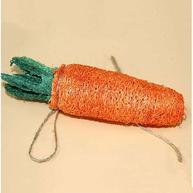 POPETPOP Rabbit Chew Toys - 2Pcs Carrot Shaped Hamster Toys Loofah Bunny Guinea Pig Bunny Chew Small Animal Chew for Chinchillas, Rat Teeth Cleaning
