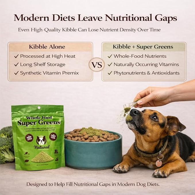 Natural Dog Company Super Greens Food Topper for Dogs, 8oz – Multivitamin & Superfood Powder – Immune, Digestive & Skin & Coat Support – No Fillers or Artificial Preservatives – All Life Stages