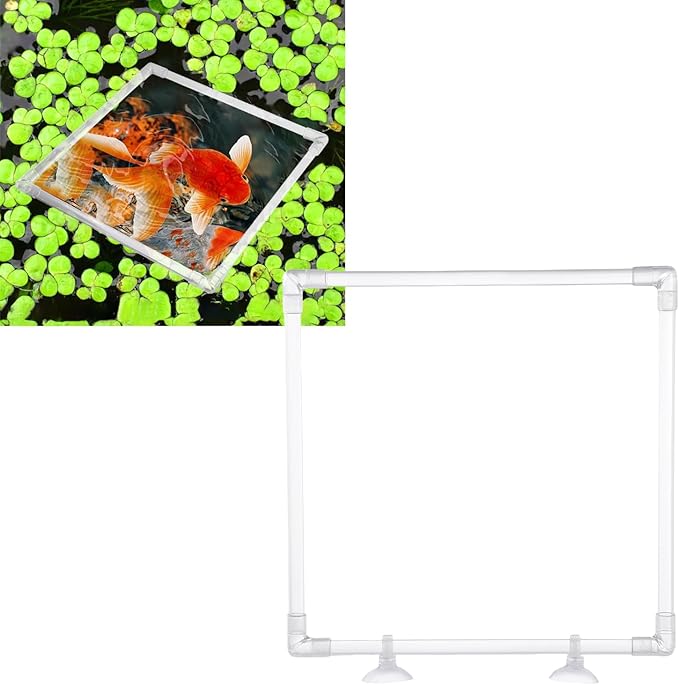 Antidrift Aquariums Food Dispenser Acrylic Feeding Corral Feeding Rings with Secure Suction Cup Attachment Easy Use Suction Cup Aquariums Feeder