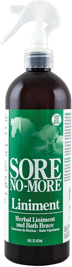 Sore No More Liniment Bottle with Sprayer (16-Ounce)