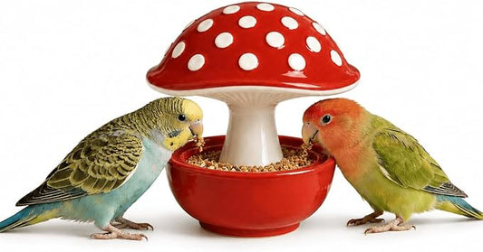 Ceramic Mushroom Bird Feeder No Mess, Spill Proof Bird Food and Water Bowl for Cage, Covered Dispenser for Parakeet, Budgie, Cockatiel, Lovebird, Hamster Accessories, 4.3" Tall