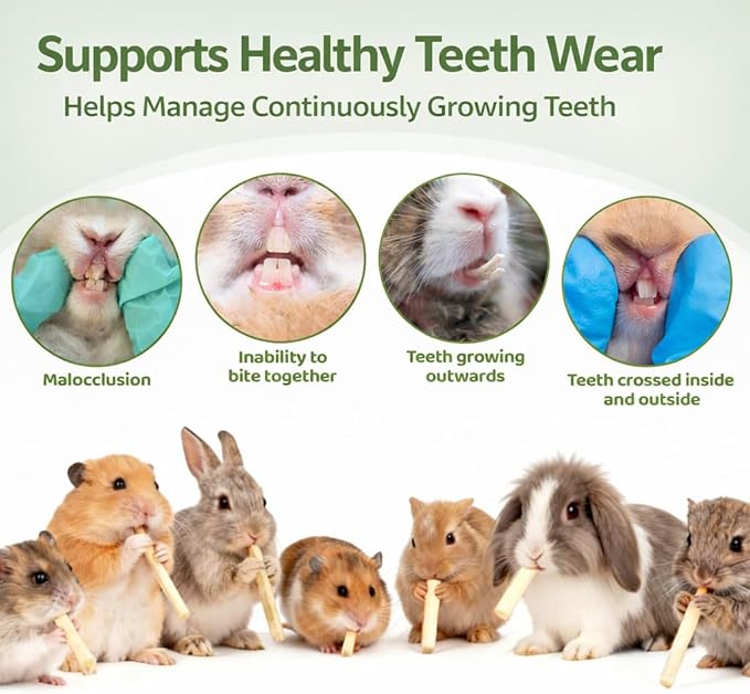 Sukh 420g Sweet Bamboo Chew Sticks - Natural Rabbit Bamboo Sticks Small Animal Chew Toy Bunny Molar Treats Atural Teeth Grinding Toys for Squirrel Guinea Pigs Chinchilla