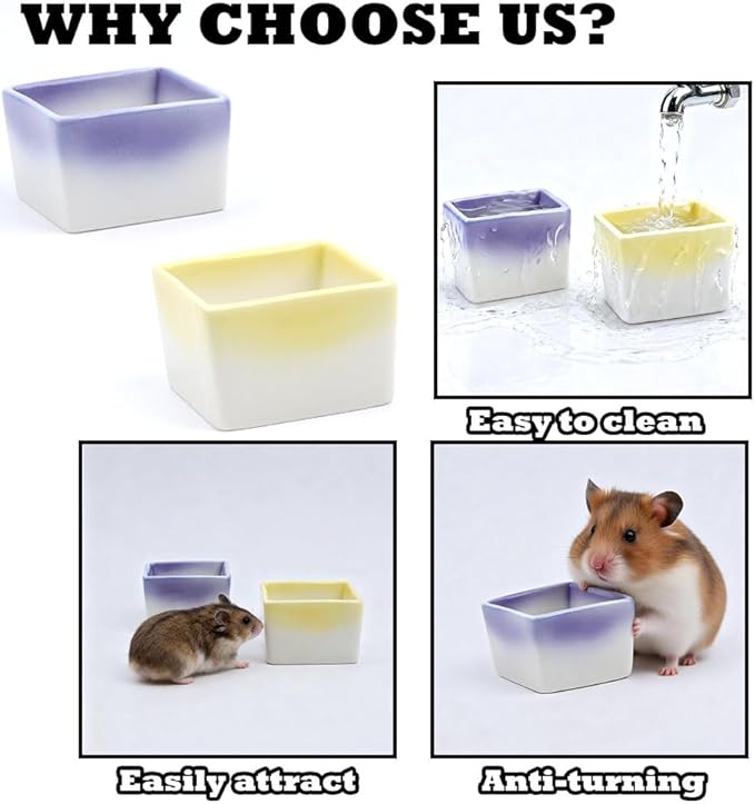 2 Pack Small Pet Ceramic Food Bowl and Water Dish Anti-Turning Cute Feeder for Hamster Guinea Pig Hedgehog Squirrel Rat (Purple and Yellow