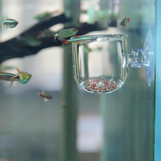 Fish Food Feeder with Suction Cup, Transparent Fish Tank Feeding Cup with Glass Hole, Sturdy Aquarium Live Feeder Container Accessory for Feeding Small Tropical Fishes