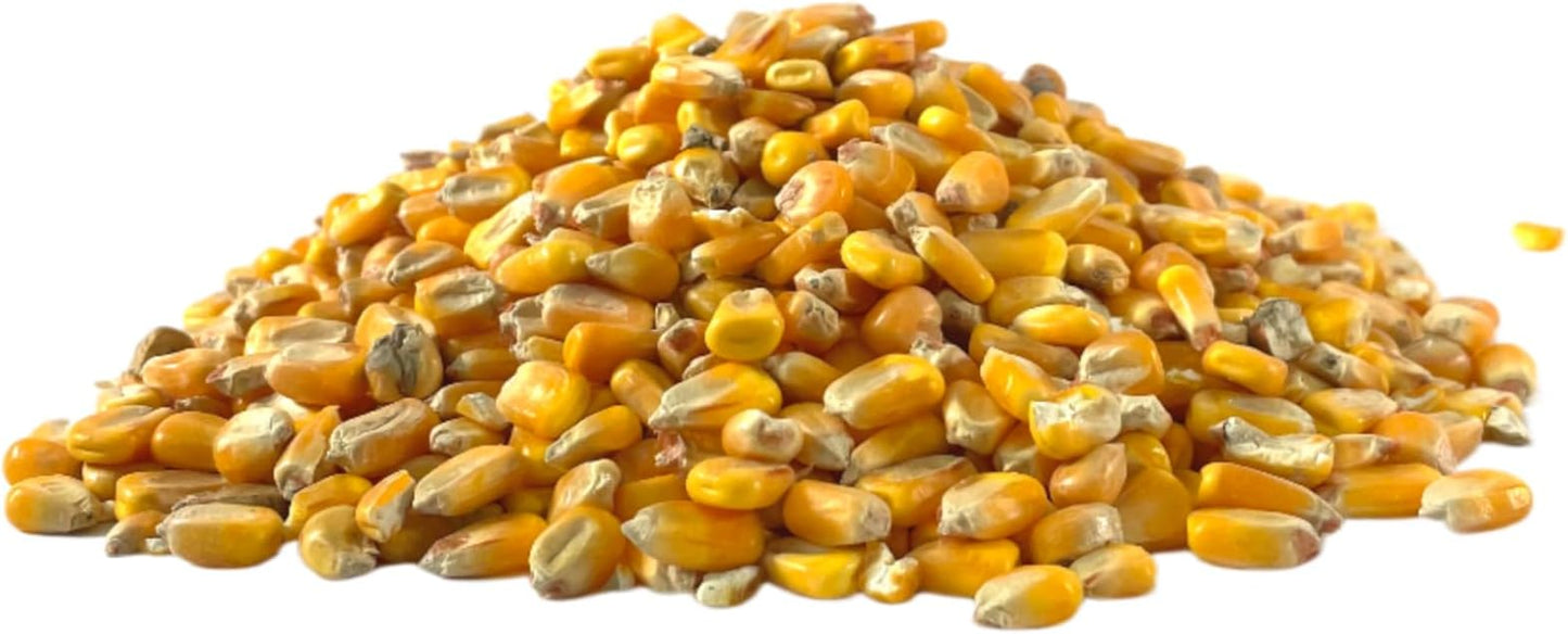Ernst Grain & Livestock Apple‑Scented Whole Corn Feed – Premium 10 lb (160 oz) Portable Bag – Natural Fruit Aroma for Livestock, Poultry & Small Animals – All‑Natural, Unprocessed, Family Made