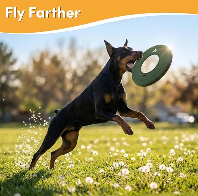 OllyDog Super Flyer, Floating Dog Disc for Water Play – Soft Durable Dog Fetch Toy, Eco-Friendly Recycled Material, Gentle on Teeth, Lightweight Flying Disc for Medium, Large Dogs (Winter Moss, 11")