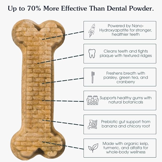 Arterra Pet Science Dog Dental Chews with Nano-Hydroxyapatite Next-Generation Daily Chews for Stronger Teeth, Fresh Breath, and Healthy Gut, 14 Count, Pack of 1
