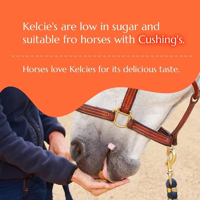 Kelcies Pumpkin Spice Horses Treats - Low Sugar, Starch, and Carbohydrates | Healthy Treats for Horse Supports Superior Digestion 5 Pound (1 Pack)