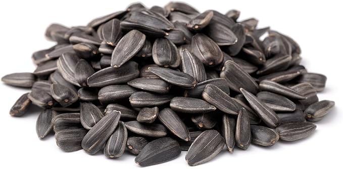 CountryMax Backyard Seeds Black Oil Sunflower for Wild Birds 20 Pounds
