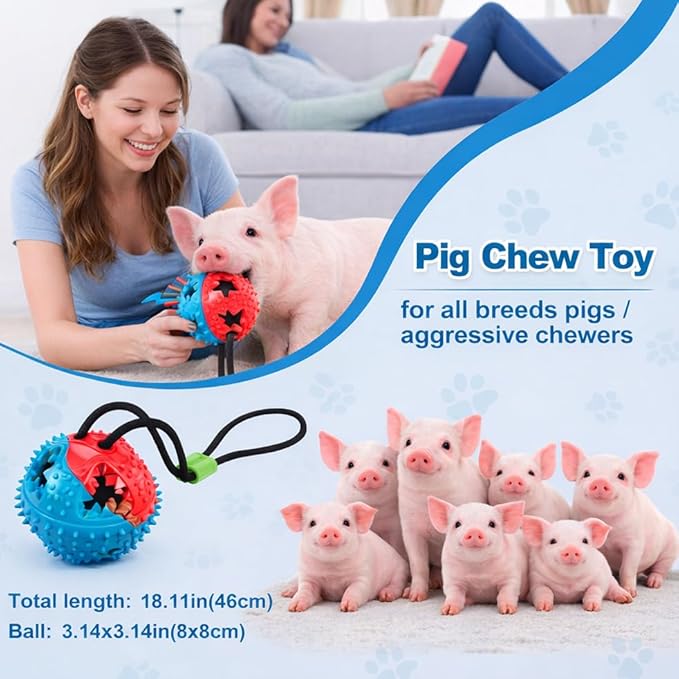2Pcs Pig Enrichment Toys – Hanging Treat Ball for Pellets & Grains, Chew & Slow Feeder Toy with Rope for Mini Pigs