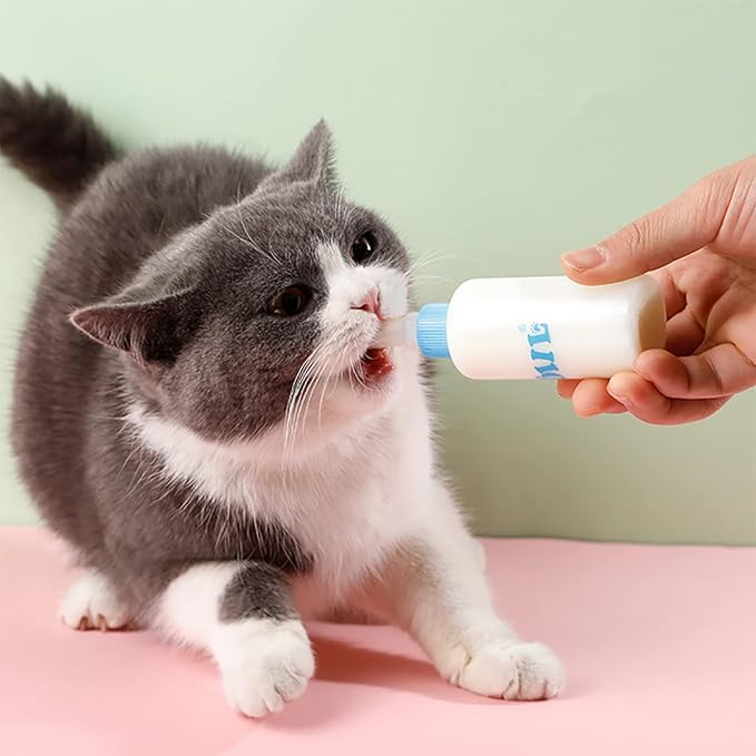 1pcs 60ml Pet Bottle with 4pcs Replacement Nipples and 1pcs Nipple Brush Can Be Used for Water Feeding Pet Feeding Tools.